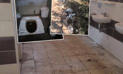Kuşadası Milli Park’ta çevre skandalı