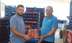 Şeftali fiyatları 1 günde yarıya düştü