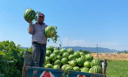 Tarlada para etmeyen karpuzu pazarda kendisi satıyor