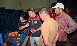 Tarladan sofraya emek