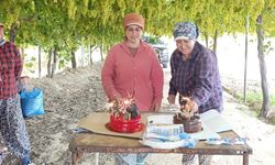 Tarlasında çalışan işçiye doğum günü sürprizi yaptı