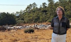 Turizm cenneti Didim’de çevre skandalı: Akbük’te çöp dağları oluştu
