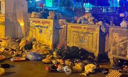 Turizm cenneti Kuşadası’nda çöp dağları.. Sezonun ortasında çevre rezaleti