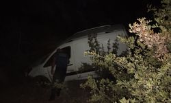 Yabani hayvana çarptı, şarampole uçtu, sürücü bulunamadı