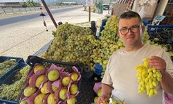 Yol üzerinde dalından sofraya