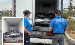 3 ton mavi yüzgeçli orkinos ele geçirildi