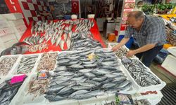 Av sezonu palamut bereketiyle açıldı