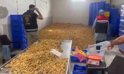 Aydın Köşk’te 20 milyon lira değerinde etiketsiz kuru incir ele geçirildi