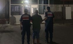 Aydın Kuyucak’ta ormanlık alanda basıldı