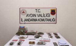 Aydın Söke’de iki ayrı adrese jandarma baskını