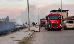 Aydın’da yerleşim yerlerinin yakınında yangın çıktı