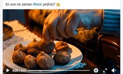 Başkan Çerçioğlu’ndan incir tanıtım filmi