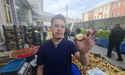 Bu meyveye ilgi büyük, kilosu 120 liraya ulaşıyor