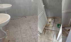 Burası Aydın Bozdoğan.. İşte Yeni Parti belediyeciliği