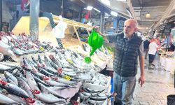 Ete inat 'palamut'