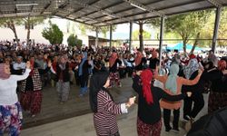 Festivalde gönüllerince eğlendiler