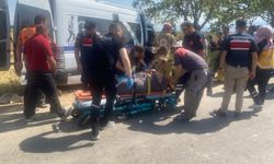 İşçi minibüsü ağaca çarptı: 14 yaralı
