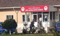 Nazilli Pamuk Araştırma Enstitüsü’ne şok operasyon: Müdür dahil 4 yönetici gözaltında