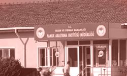 Nazilli’deki rüşvet operasyonunda karar verildi
