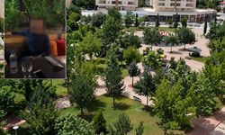 Rezaletin böylesi.. Üniversite hocası parkta utanç verici halde basıldı