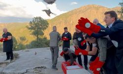 200 keklik doğaya salındı