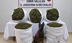 54 kilo 800 gram esrar ele geçirildi, 3 kişi tutuklandı