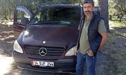 Zeytin toplarken arı sokan 3 çocuk babası hayatını kaybetti