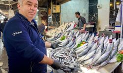 Palamutun fiyatı belli oldu