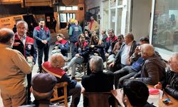 Aydın kuru incirinde kalite ve gıda güvenliği çalışmaları sürüyor