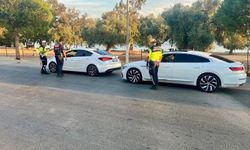 Aydın’da Çember-146 operasyonu