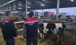 Aydın’da hayvan pazarlarında kırmızı alarm