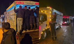 Çine Hayvan Pazarı açıldı