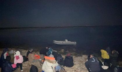 Aydın'da kaçak göçmenler yakalandı