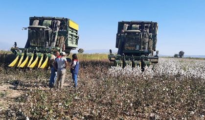Aydın’da pamuk toplama fiyatı belirlendi