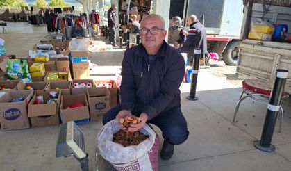 Elma kurusu üreticisi memnun