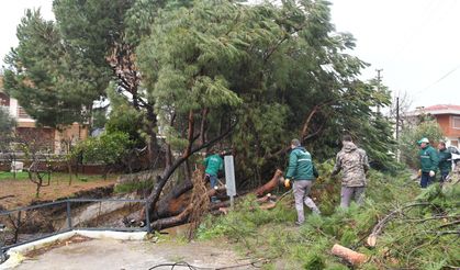 Kuşadası Belediyesi ekipleri olası bir facianın önüne geçti