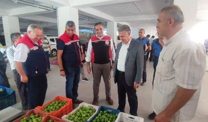 Buharkent’te ilekler tezgahta incelendi