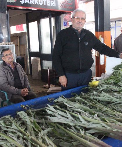Aydın’da karaciğer dostu enginara yoğun ilgi