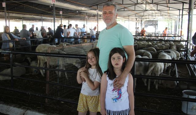 Aydın'da hayvan pazarları boş kaldı
