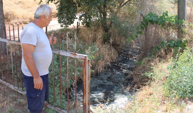 Aydın'da fabrikanın atık suyu vatandaşı canından bezdirdi