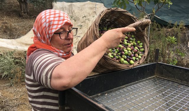 Aydın’da günlük 3 bin liraya çalışacak eleman arıyor