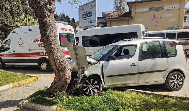 Aydın Kuşadası’nda tansiyonu düşen sürücü ağaca çarptı