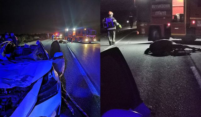 Denizli’de başıboş ata çarpan otomobil takla attı