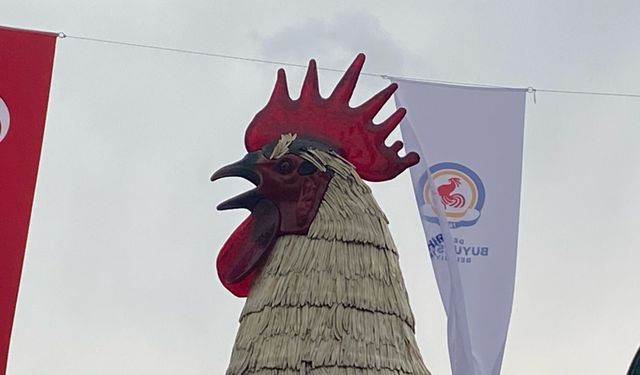 Denizli’nin simgesi horozdan kötü haber