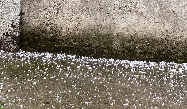 Fındık büyüklüğünde dolu yağdı, bahçeler zarar gördü.. Fiyatlara zam kapıda