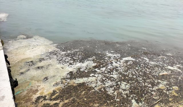 Muğla’da tedirgin eden görüntüler.. Uzmanlar açıklama yaptı