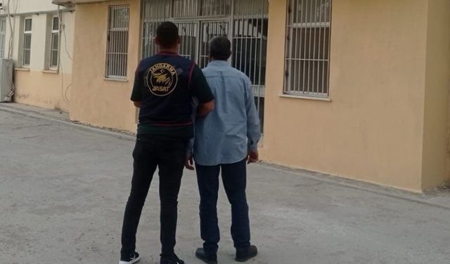 Örgütlü tefecilik operasyonu
