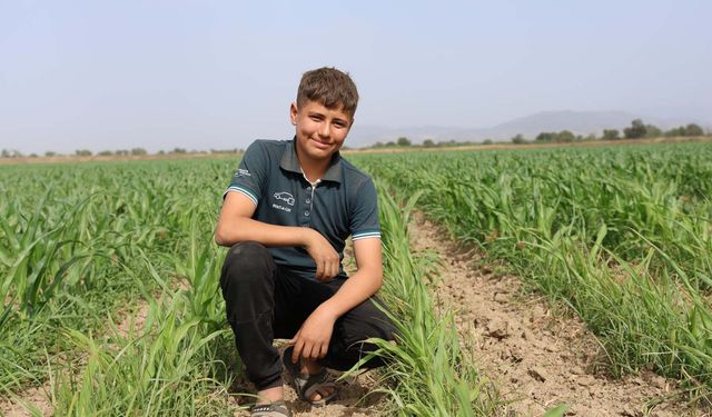 Aydın’da 14 yaşındaki çocuk 300 dönüm arazide üretim yapıyor