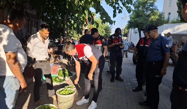 Aydın’da ekipler ilek pazarında