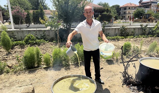 Ege’nin en özel lezzetlerinden biri.. Özenle toplanıp temizleniyor, kaynatıldıktan sonra sofraya gidiyor